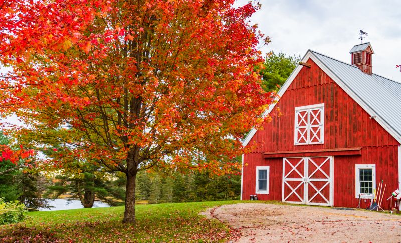 Fall Barn Maintenance